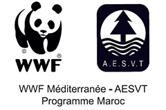 wwf